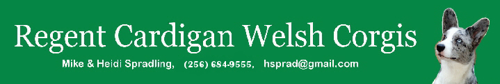Logo_9