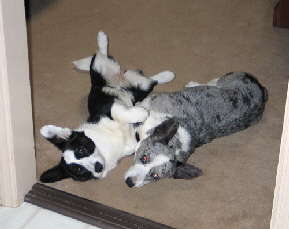 Dixie Jenna hug