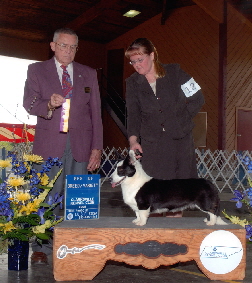 Jenna Clarksville BOBb02