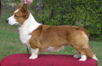 Baron1