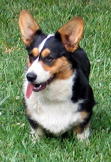 Zoe103