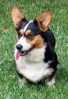 Zoe10302