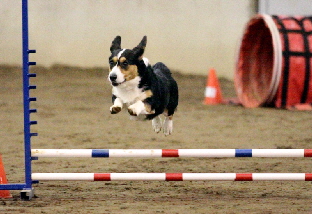 Zoejump03